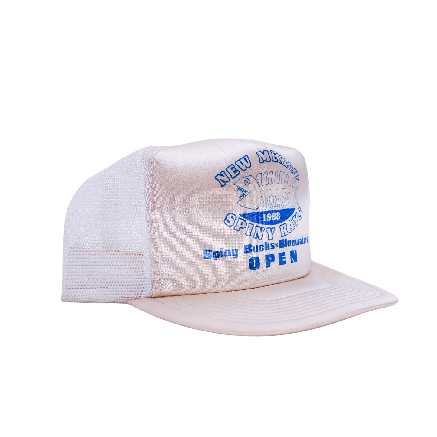 NEW MEXICO TRUCKER CAP