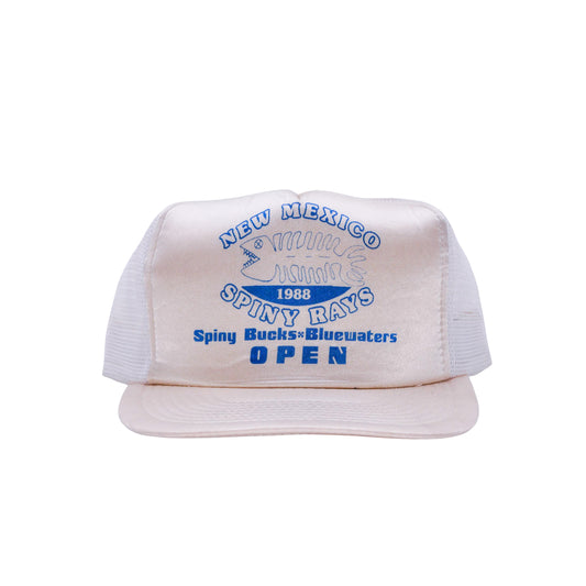 NEW MEXICO TRUCKER CAP