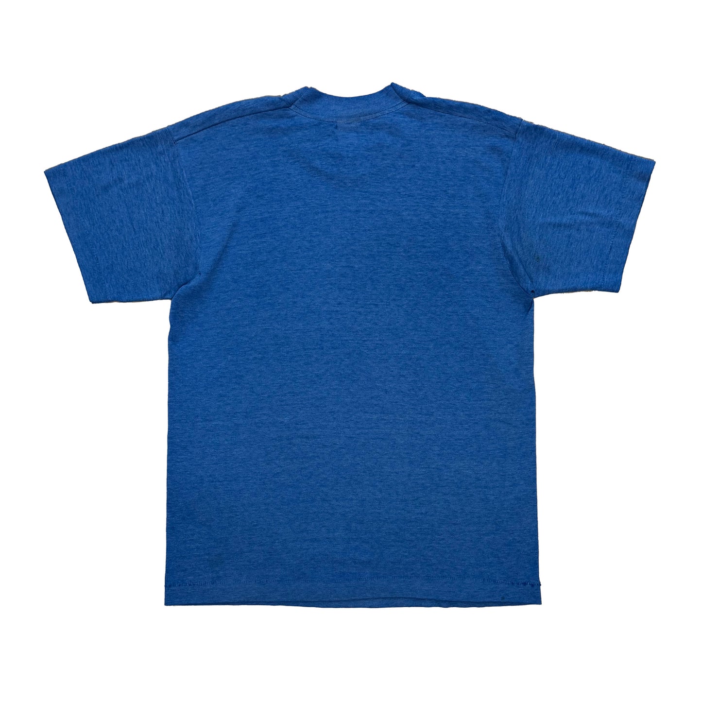 ARKANSAS BOARASAUR T-SHIRT